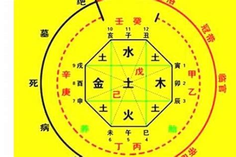 八字 星|生辰八字算命、五行喜用神查询（免费测算）